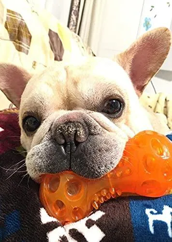 Dog Squeaky Chew Toys Bounce Dumbbell , Toys for Chewers to Clean Teeth and Prevent Boredom
